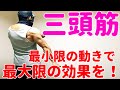 【筋トレ】こんなディップスでも効果は・・・すごい!
