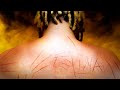 WIU & Ryan SP - Felina π WIU & Ryan SP - Felina π