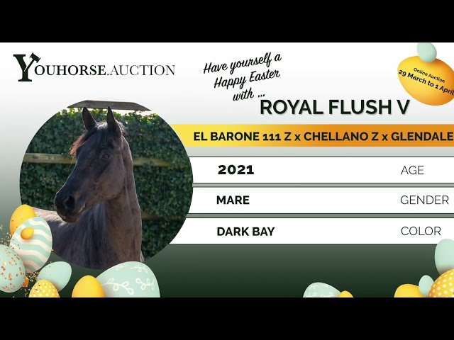 Royal Flush under the saddle