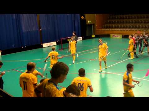 Skellefteå IBK - RIG