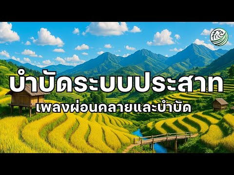ดนตรีบำบัดสมอง เพลงบำบัดระบบประสาท คืนสมดุลประสาทอัตโนมัติ เพลงฟื้นฟูระบบประสาท ดนตรีผ่อนคลายสมอง