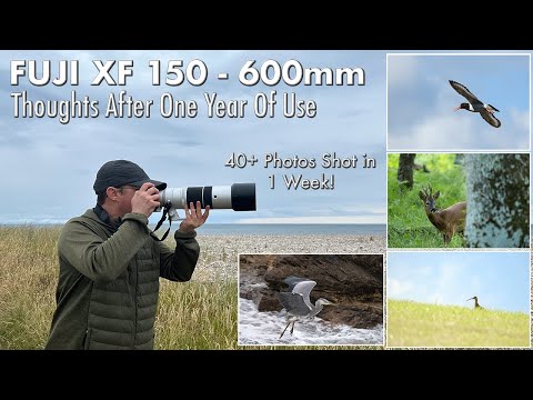 Fuji XF 150-600mm Lens for Wildlife Photography - Thoughts After One Year of Use