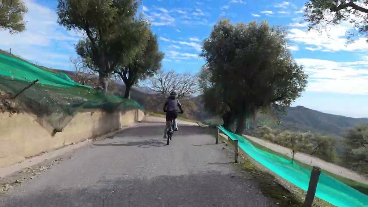 Guarda su YouTube