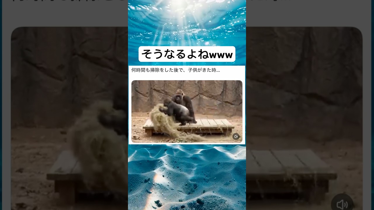 この気持ち分かる#shorts#ゴリラ#面白い#笑える#共感#可愛い