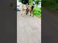 Jimidar Whatsapp Status Kheti Badi Status Sad Status Panjabi Song Status Kisan Ekta