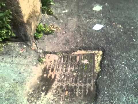 Municipio Roma V - Q. Alessandrino