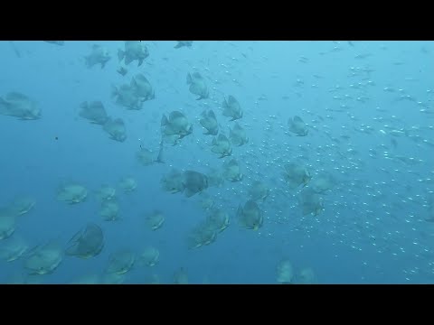 Isola di Nosy Be - Madagascar 2025