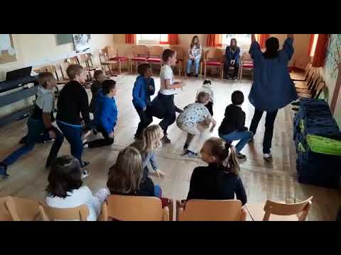 C. Saint - Saens, Löwen (Carneval der Tiere)