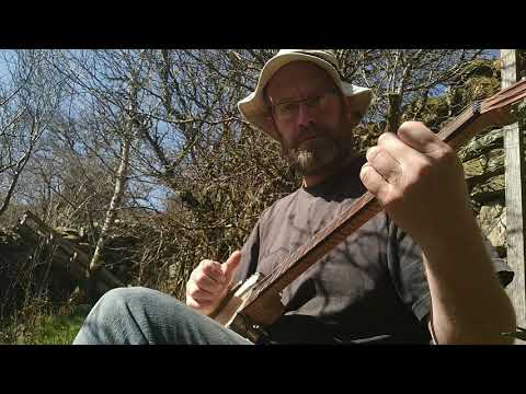 Little Sadie. Clawhammer banjo. Sawmill Tuning.
