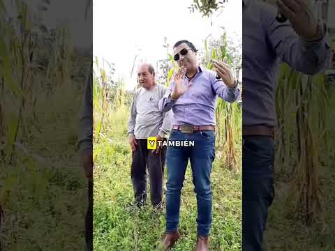 🏗️ Testimonio Real | Compra Segura de Terreno con López Vera Constructores