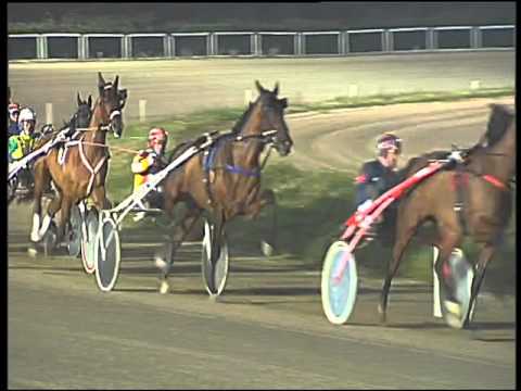 Trotto 26/01/2016 - 7° corsa