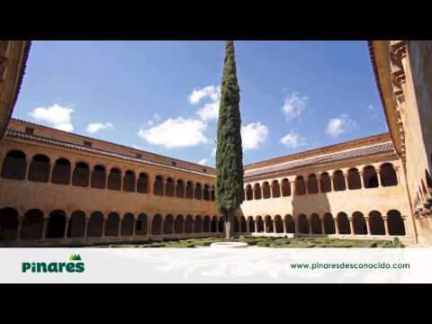 Pinares Desconocido - Santo Domingo de Silos