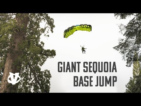 Giant Sequoia Tree BASE Jump - Matt Blank
