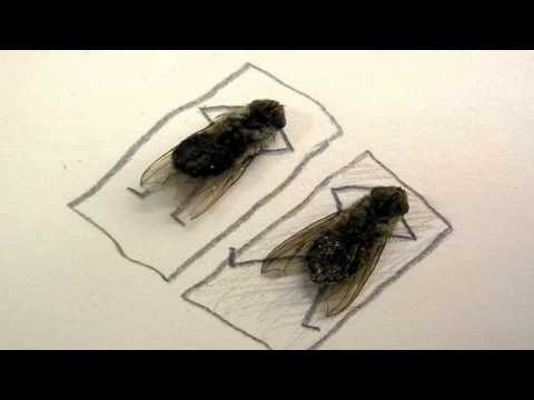 Robert Turcescu & Casa Presei - Un refren (Official Video) Eurovision 2013