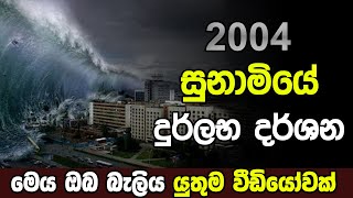 2004 සුනාමි ව්‍යසනය|2004 Tsunami Sri Lanka|Sri Lanka Army Special Forces|Velupillai Prabakaran