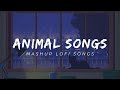 Aninmal Mashup Lofi and Slowed Reverb | Top 5 Songs Animal Mashup