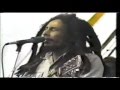 Bob Marley Rastaman Vibration Live 1979 HD 