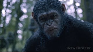 Dawn of the Planet of the Apes - &quot;Go&quot; Clip