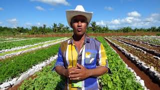 Mensajes agroecológicos