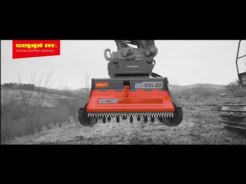 SEPPI M. - BMS - Excavator Mulcher