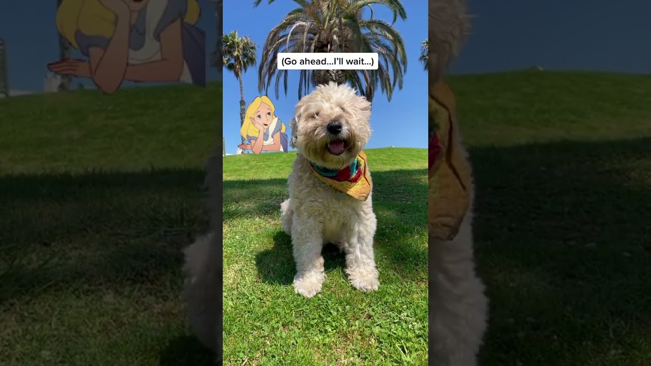 Thinking About… Rhyming Words 🐶 @TheJessiiShow #TheManniiShow.com/series