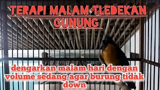 Download lagu Tledekan Gunung Gacor Malam Hari. Mantap Buat Terapi Malam Hari, Tledekan Bahan Pasti Emosi mp3 Download lagu Tledekan Gunung Gacor Malam Hari. Mantap Buat Terapi Malam Hari, Tledekan Bahan Pasti Emosi mp3