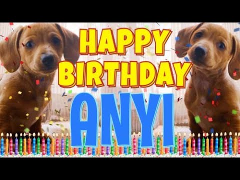 Happy Birthday Anyi! ( Funny Talking Dogs ) What Is Free On My Birthday