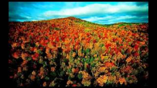 Squirrel Nut Zippers - Perennial Favorites- Trou Macacq.avi