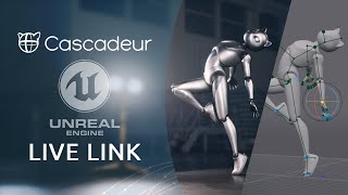 UE5 Live Link | Cascadeur 2024.3