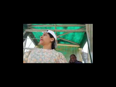 Jungle Safari , Gujrat