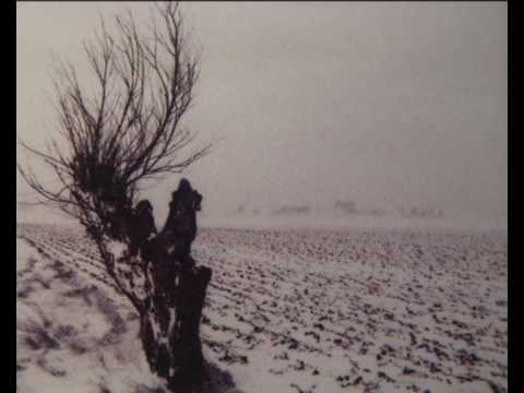 Roffe Wikström - Ett Pilträd / The Weeping Willow
