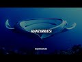 Mantarraya//Jaguares (Letra)