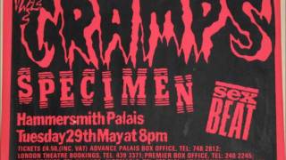 The Cramps - I&#39;m Cramped, the Mad Daddy