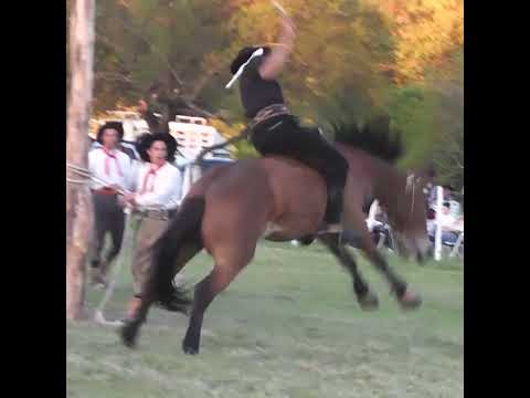 Monta especial en clina de Roberto Marelli en San Javier Santa Fe