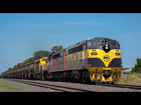 Quad Vintage Australian Diesels! (SSR 9093 to Deniliquin) | S317, S302, P18, B75