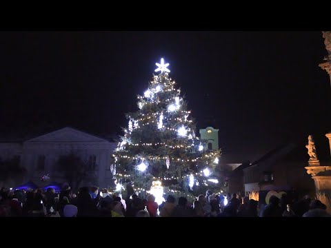 LIBOCHOVICE: Rozsvícení vánočního stromu bylo letos i s živým velbloudem