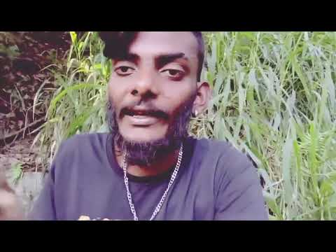 Api vadan denne dore galanna sago ......😀