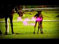 Karthar Unnai Nithamum Tamil Christian Whatsapp Status Jesus Status 4K JS Creations
