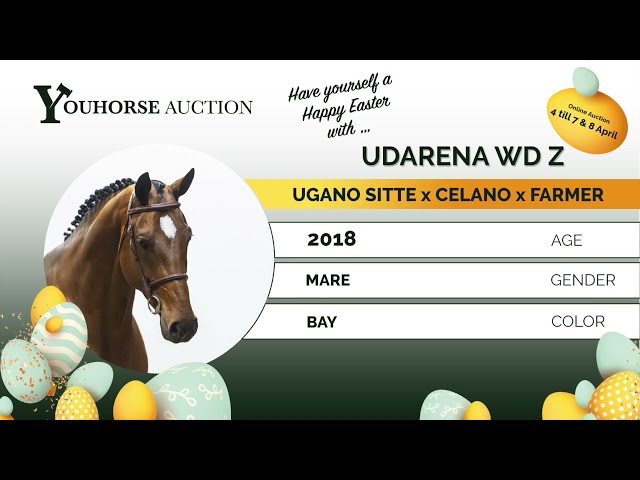 Udarena showvideo 7 years old Class December