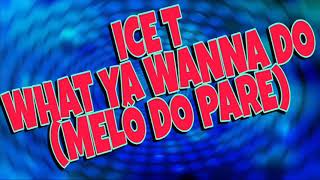 Ice T - What ya Wanna Do (Melo do Pare)