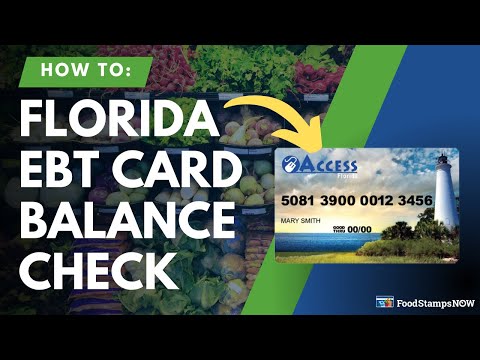 Florida EBT Balance Check Instructions