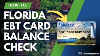 Florida EBT Balance Check Instructions