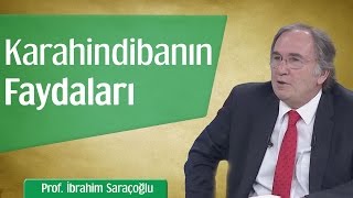 Karahindibanın Mucizevi Faydaları | Prof. İbrahim Saraçoğlu