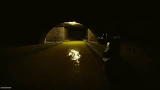 Attack of the wild rat