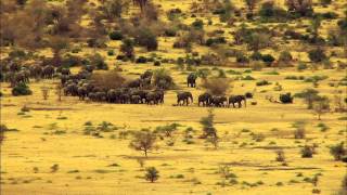 Great Migrations Trailer