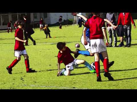 AMVJ vs WV-HEDW  3 - 8