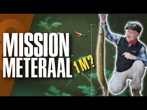 How close to the meter can we get? Eel fishing in a small river! 🐍