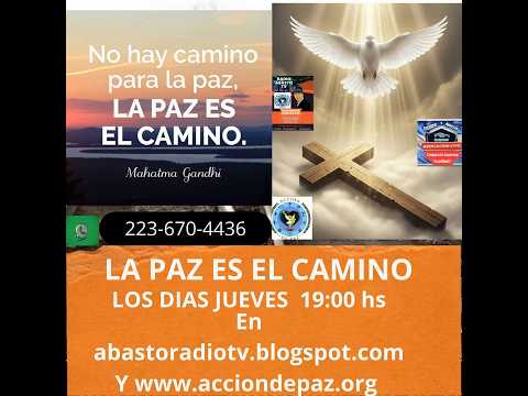 CULTURA EN ACCION POR LA PAZ 2419
