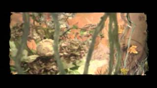 Download lagu RUTH SAHANAYA - Jiwaku mp3