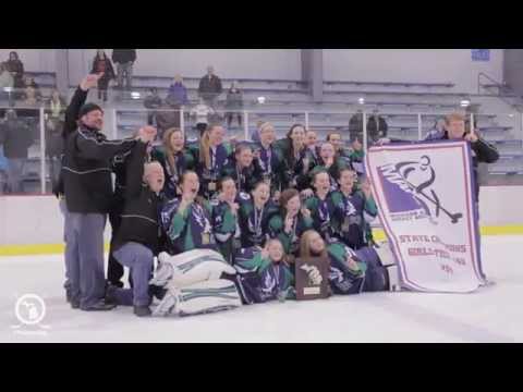 2014 MAHA Girls 14U Tier II State Championship Game